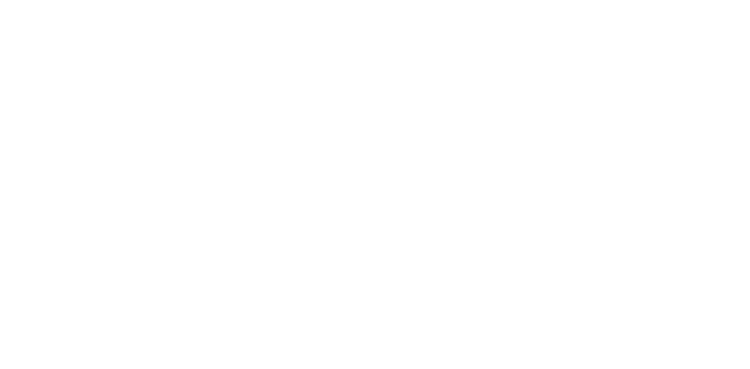 Magnetic-Alliance-Capital-Logo-750×369